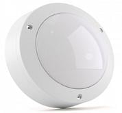   Circus 10-3 5000 IP54      