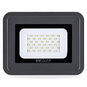   Wolta WFL-30W/06  5500K 30  SMD IP65 2550 